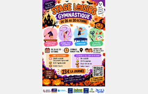 Stage loisir gymnastique